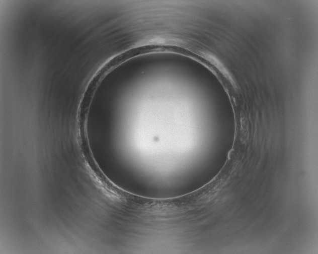 X0000071950972200607141454