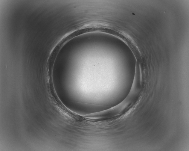 X0000071950973200607141454