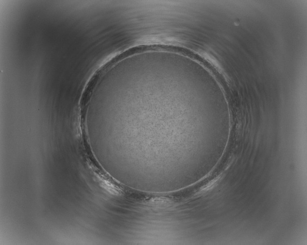 X0000071950974200607141454