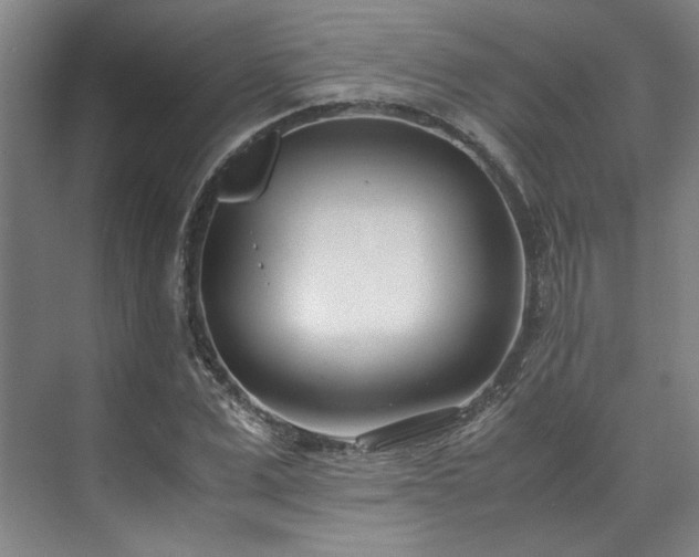 X0000071950975200607141454