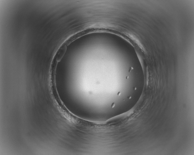 X0000071950976200607141454