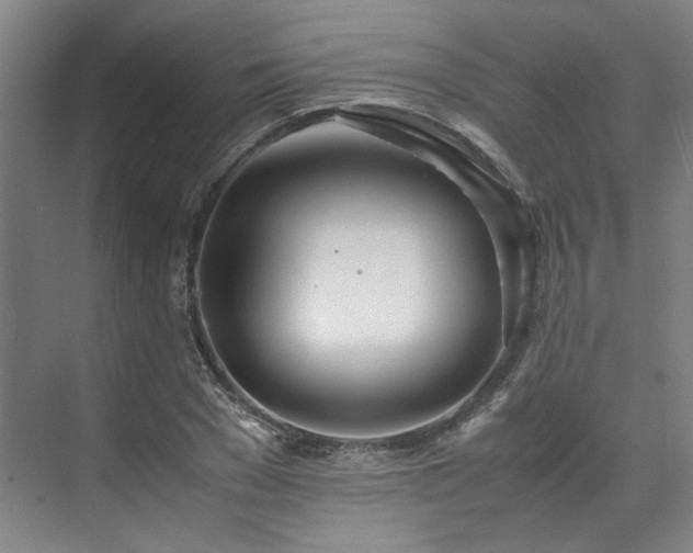 X0000071950977200607141454