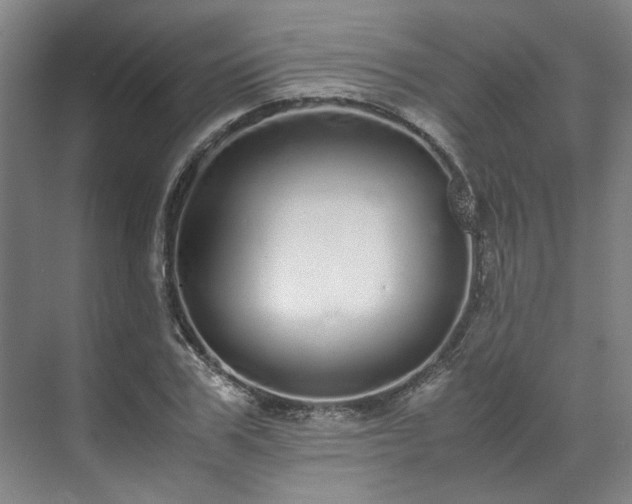 X0000071950979200607141454