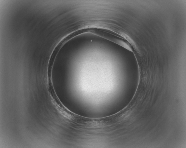 X0000071950980200607141454