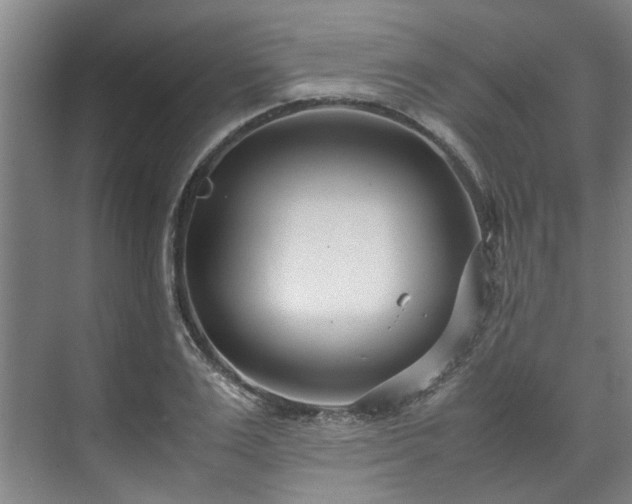 X0000071950983200607141454