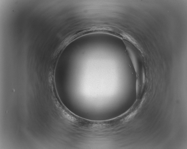 X0000071950985200607141454