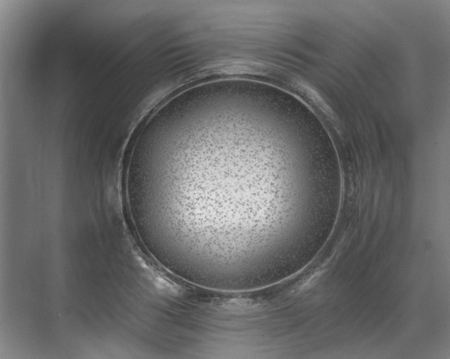 X0000071950986200607141454