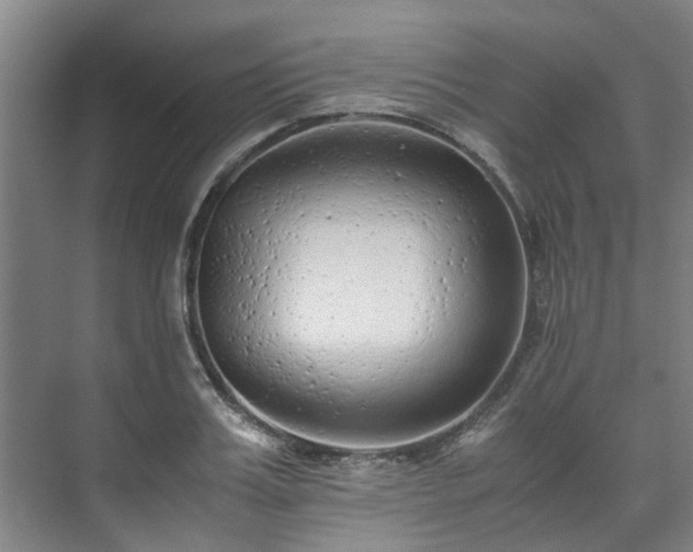 X0000071950987200607141454