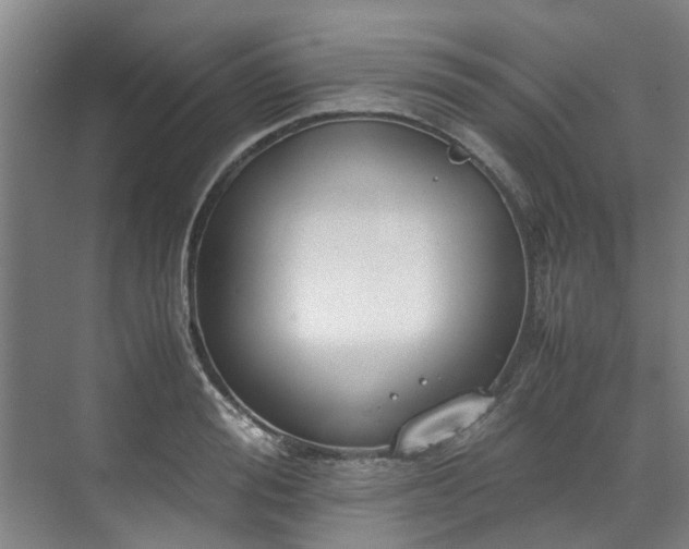 X0000071950988200607141454