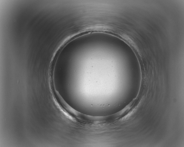 X0000071950989200607141454