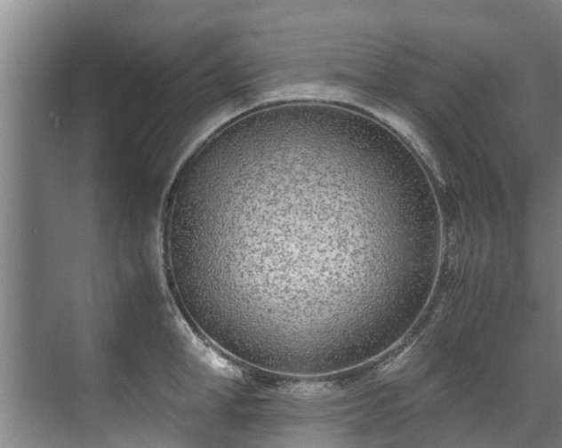 X0000071950998200607141454