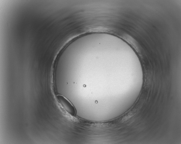 X0000071951000200607141454