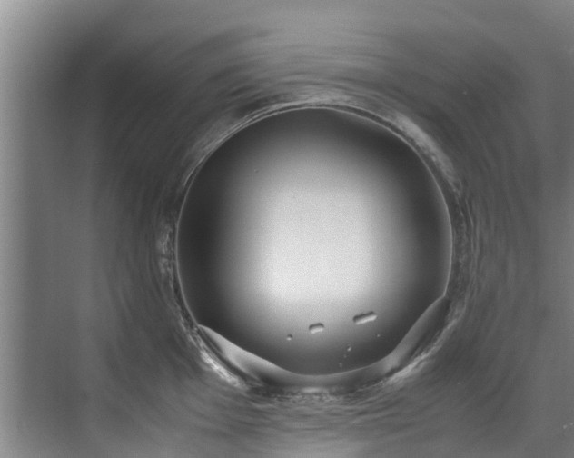 X0000071951001200607141454