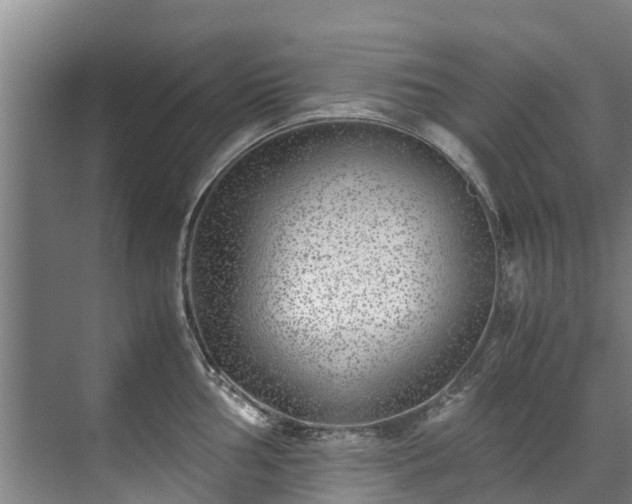 X0000071951002200607141454