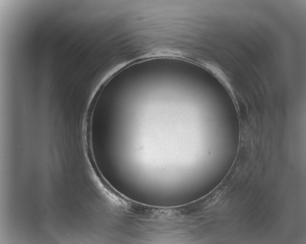 X0000071951003200607141454