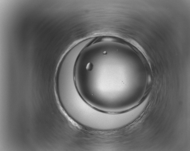 X0000071951005200607141454