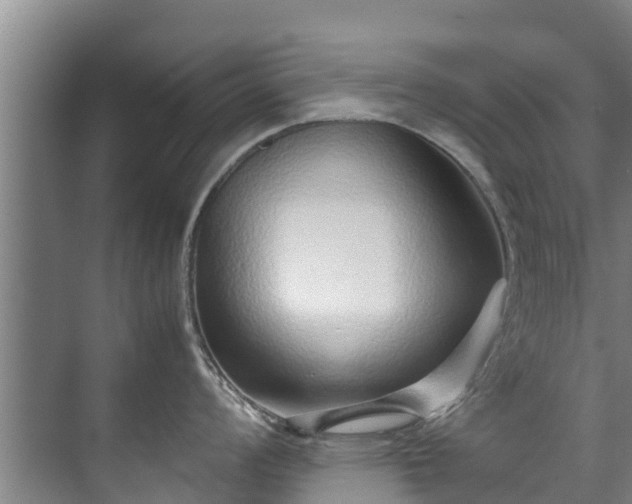 X0000071951008200607141454