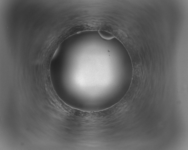 X0000071951009200607141453