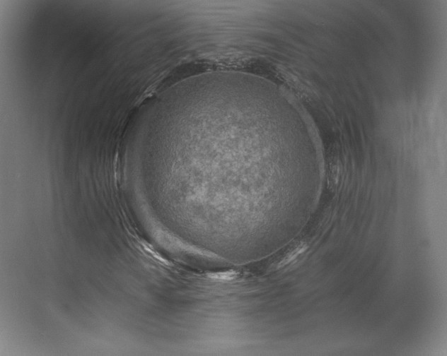 X0000071951010200607141453