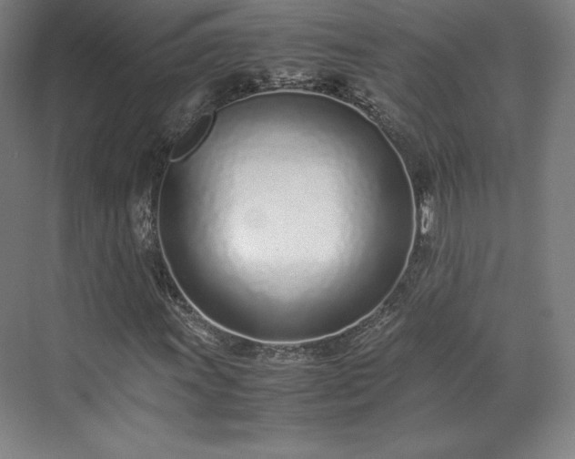 X0000071951011200607141453