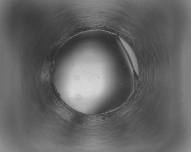 X0000071951012200607141453