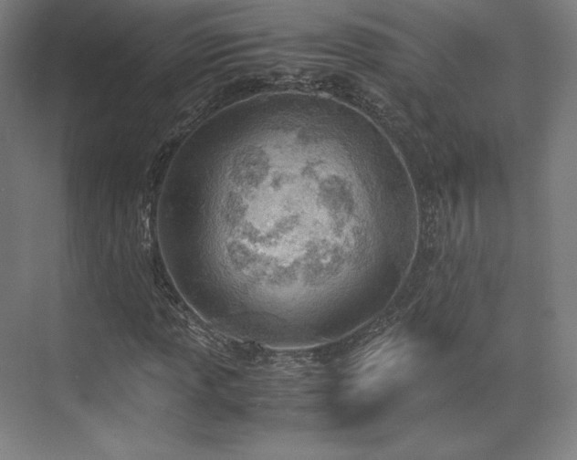 X0000071951013200607141453