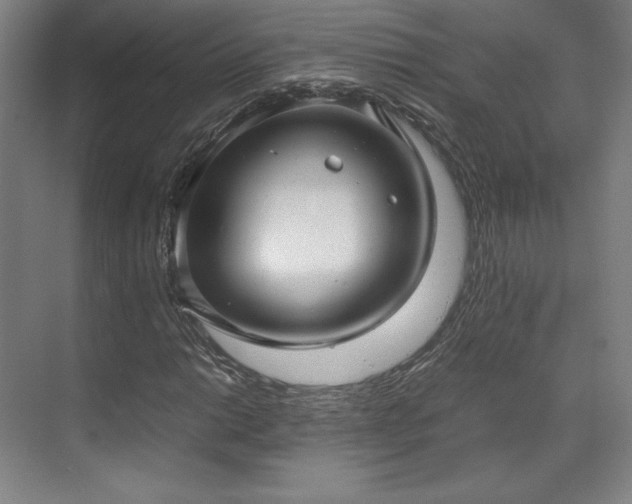 X0000071951014200607141453