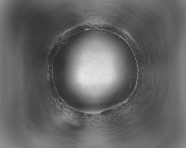 X0000071951016200607141453