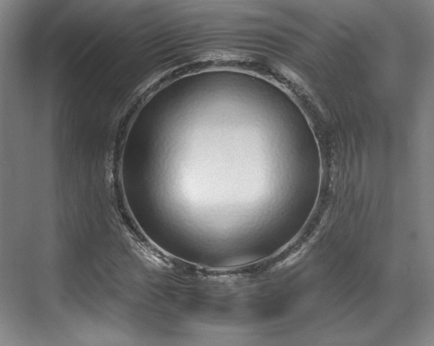 X0000071951017200607141453