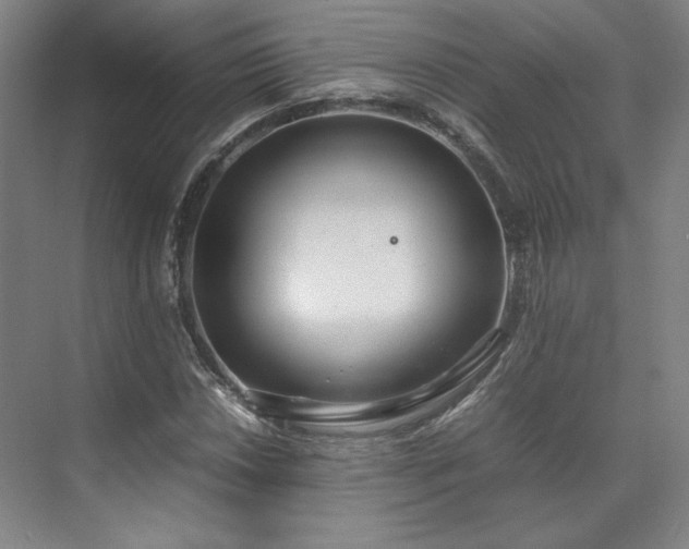 X0000071951018200607141453