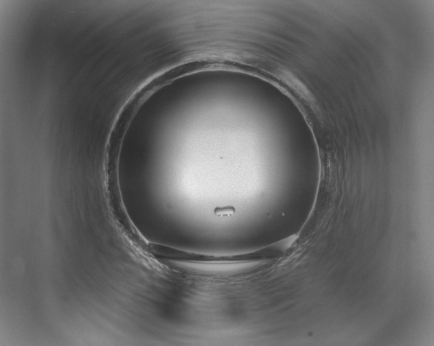 X0000071951020200607141453