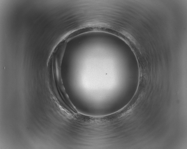 X0000071951022200607141453