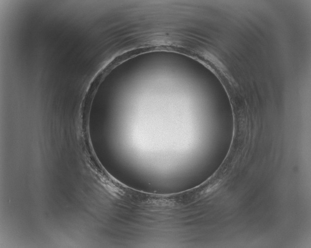 X0000071951023200607141453