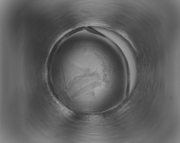 X0000071951024200607141453