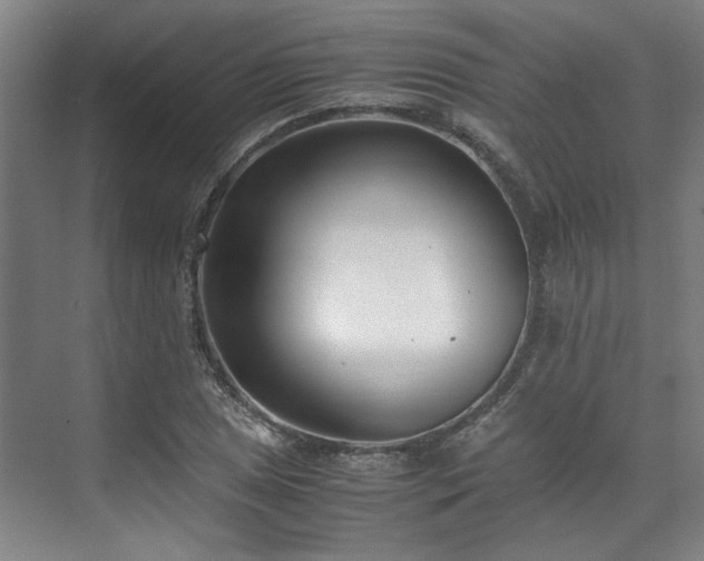 X0000071951025200607141453