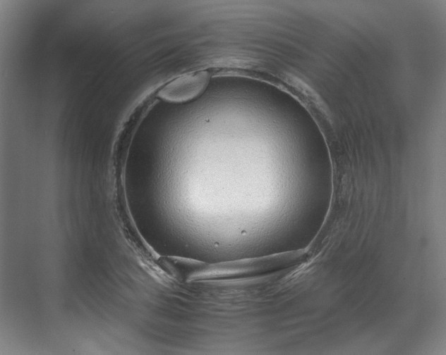 X0000071951027200607141453