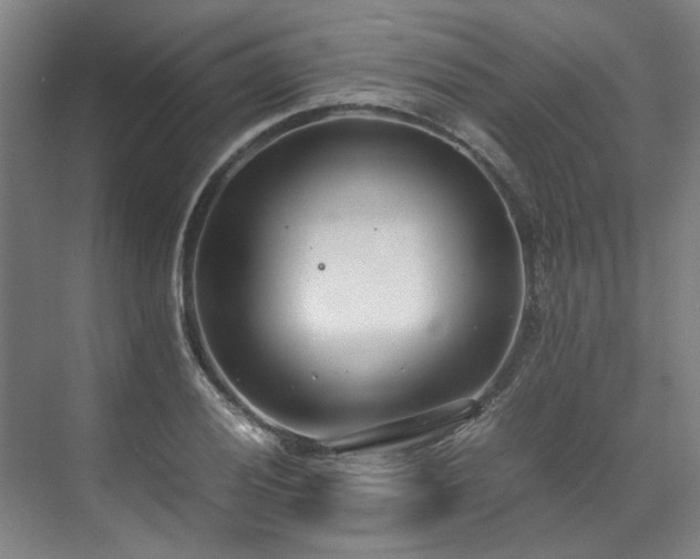 X0000071951028200607141453