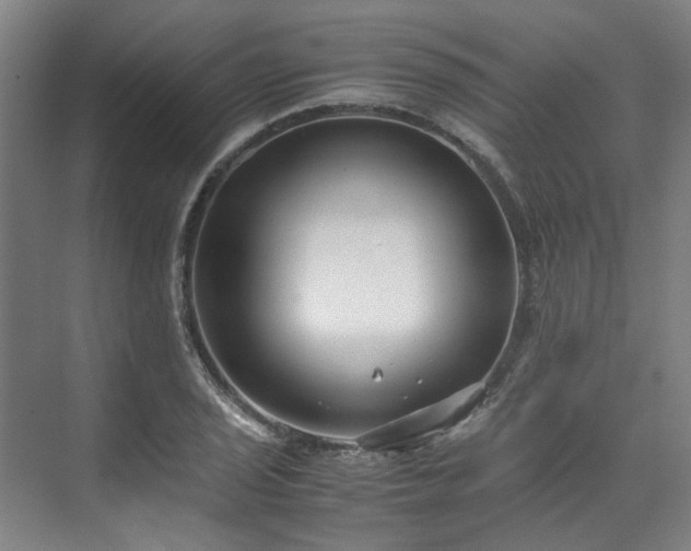 X0000071951029200607141453