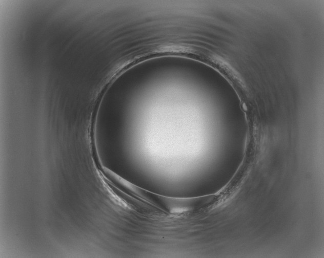 X0000071951033200607141453