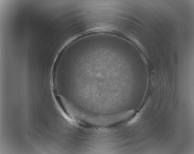 X0000071951034200607141454