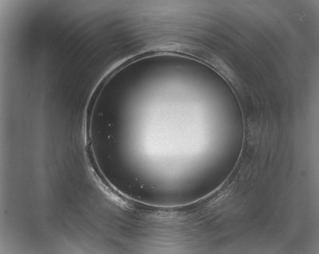 X0000071951036200607141454