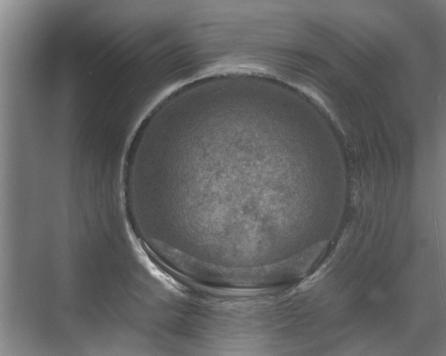 X0000071951038200607141454