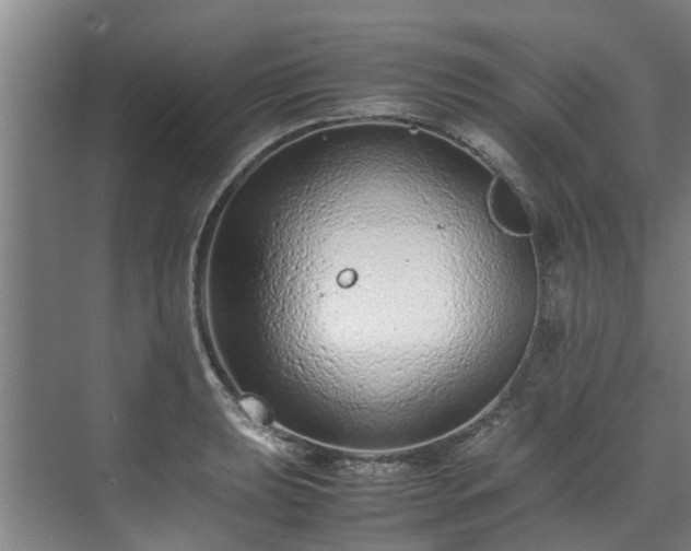 X0000071951039200607141454