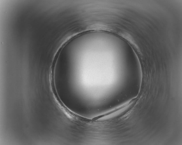 X0000071951040200607141454