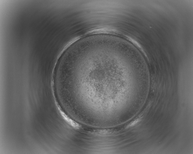 X0000071951042200607141454