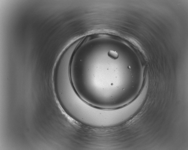 X0000071951046200607141454