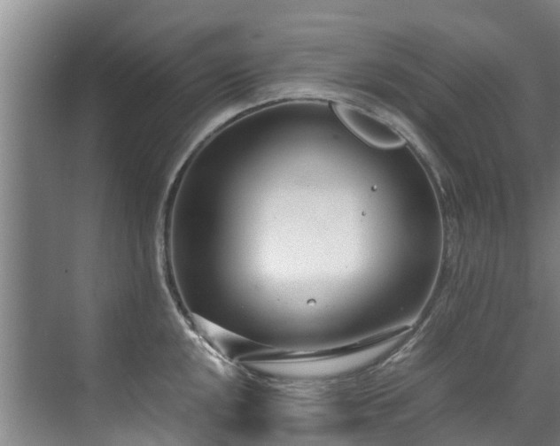 X0000071951048200607141454