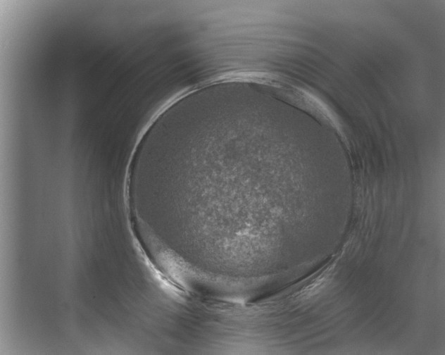 X0000071951050200607141454