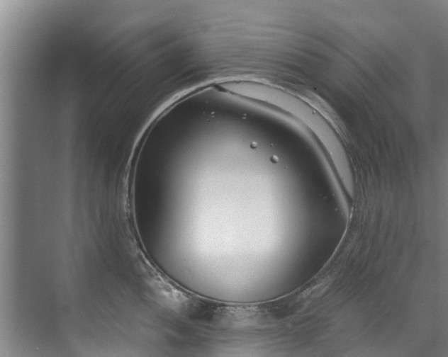 X0000071951052200607141454