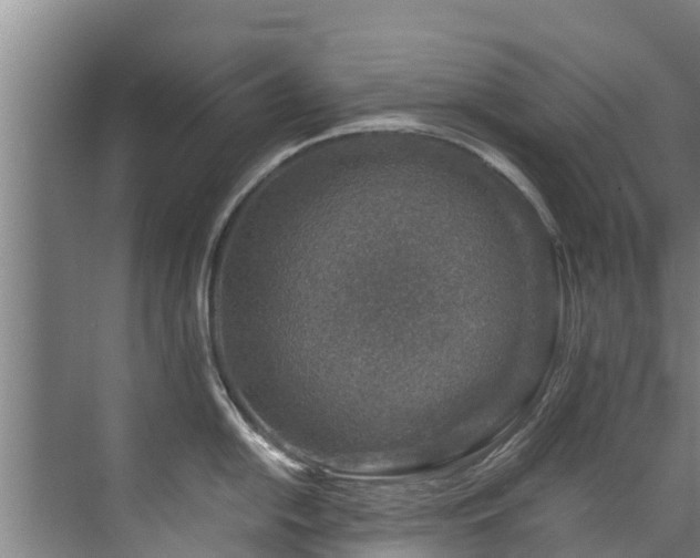 X0000071951054200607141454